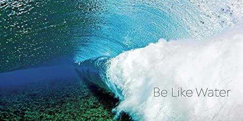 Clark Little: The Art of Waves, Little, Clark, Excellent Book