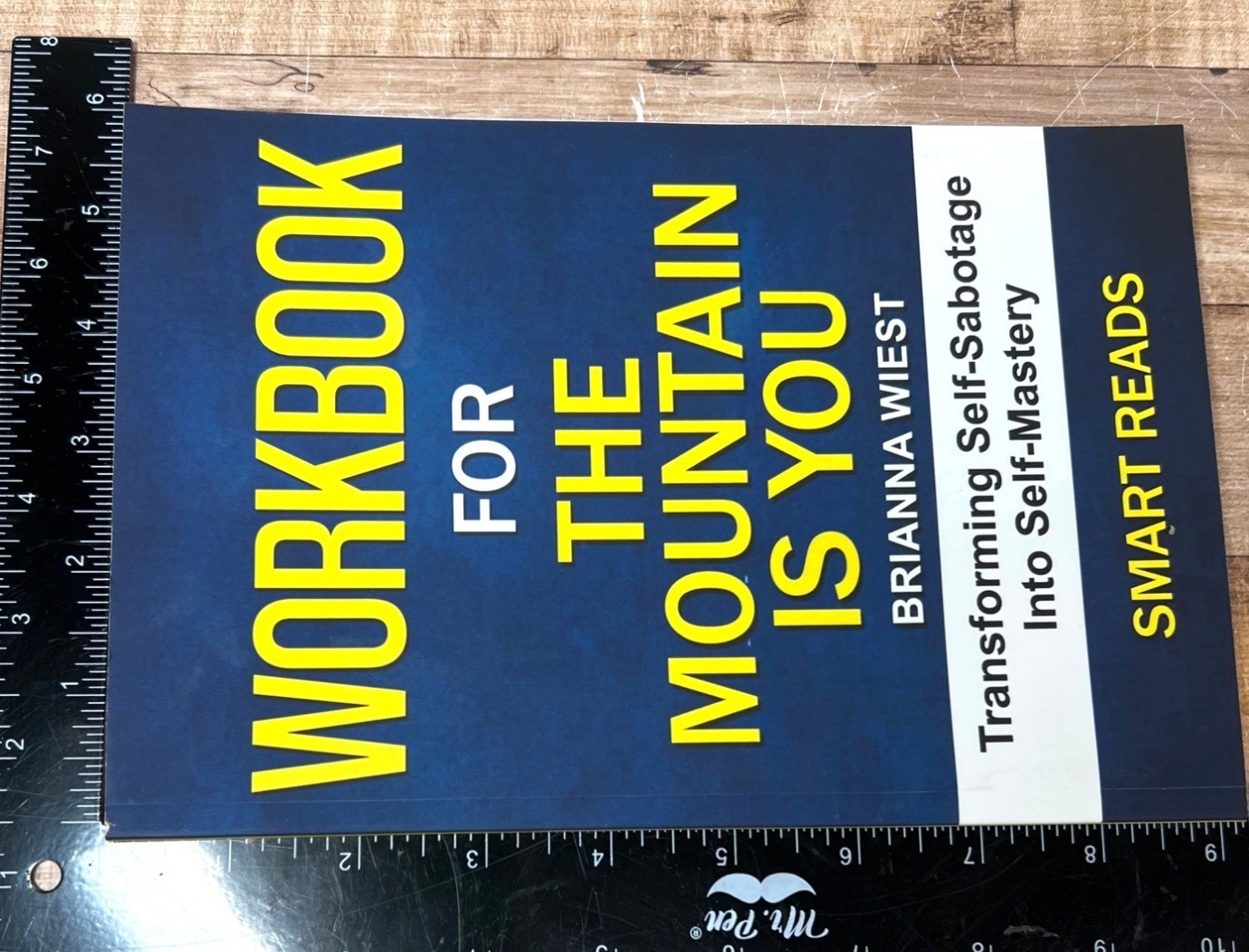 Workbook For The Mountain Is You By Brianna Wiest