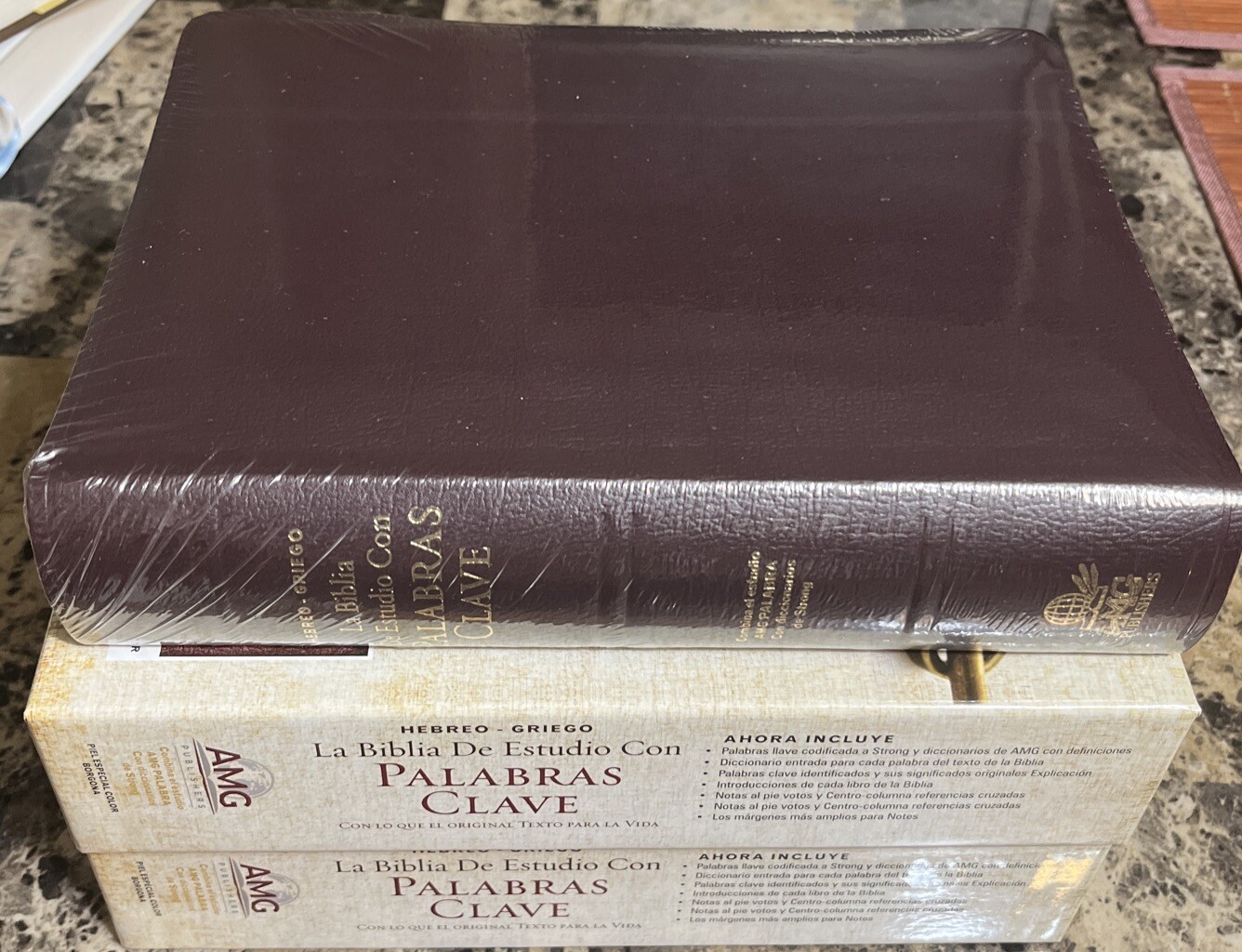 BIBLIA PALABRAS CLAVE DICCIONARIO HEBREO- GREIGO PIEL ESPECIAL BORGOÑA RV 1960