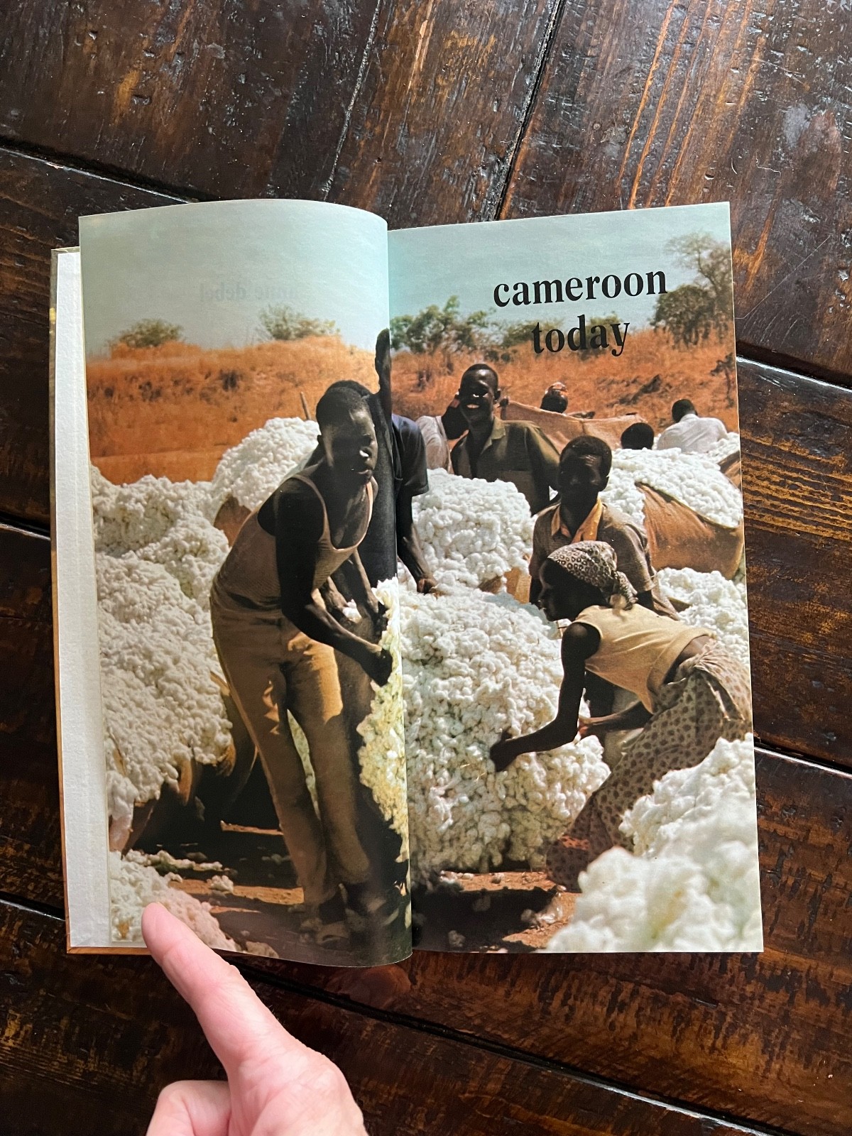 Cameroon Today by Anne Debel 1977