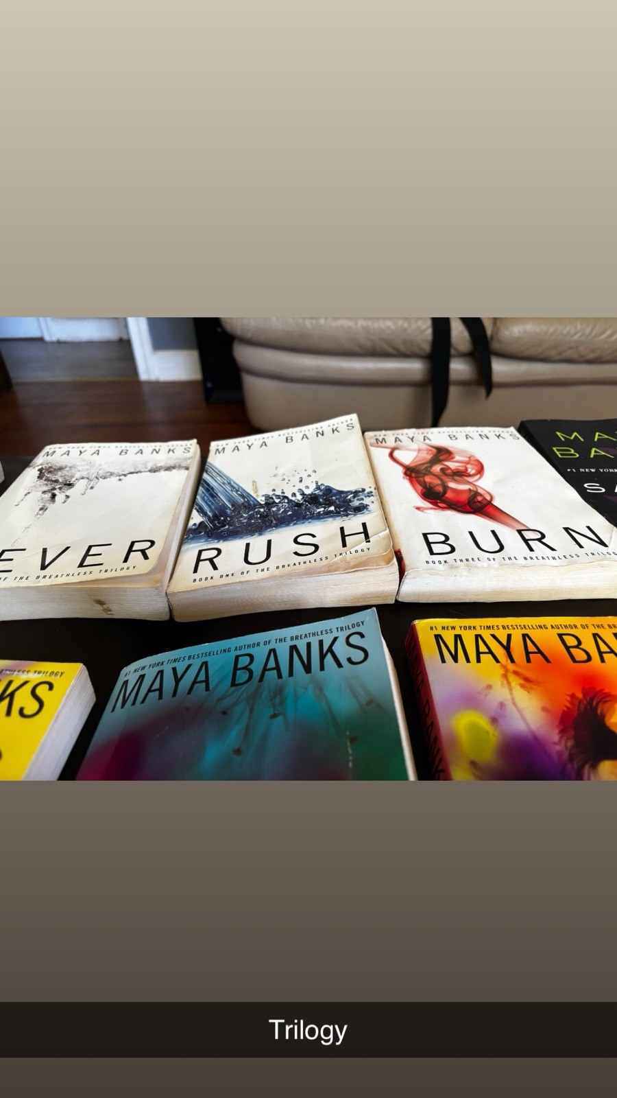 Multiple Trilogy’s Book Lot, Dark Romance
