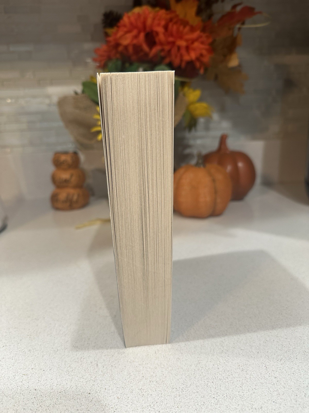Suicide Med ,new Never Read By Freida mcfadden (book Is Out Of Print)