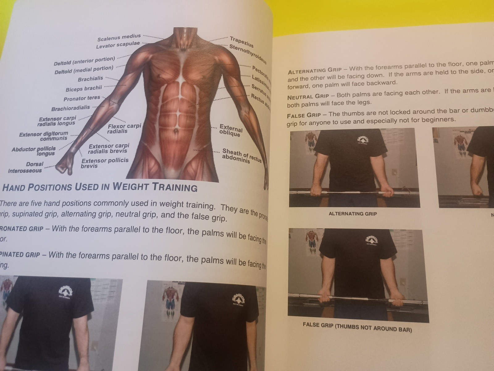 Built for Strength: A Basic Approach to Weight Training By Doug Briggs