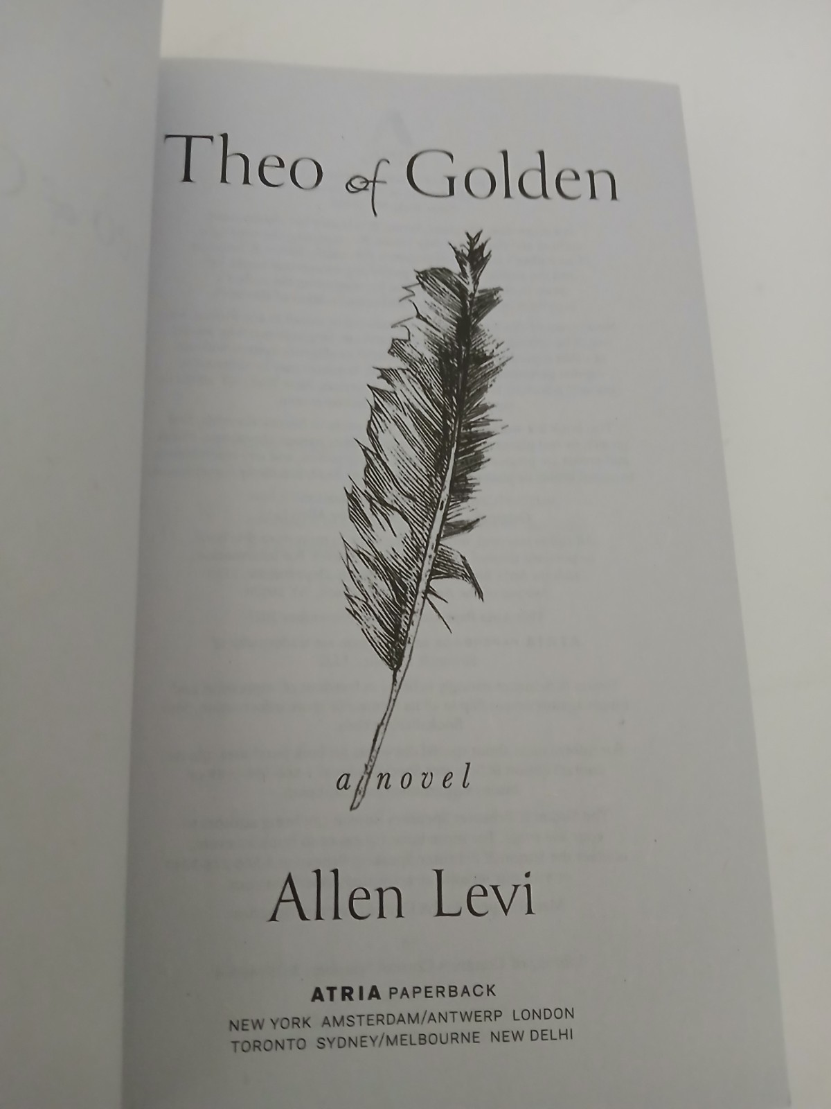 Theo of Golden By Allen Levi English PB