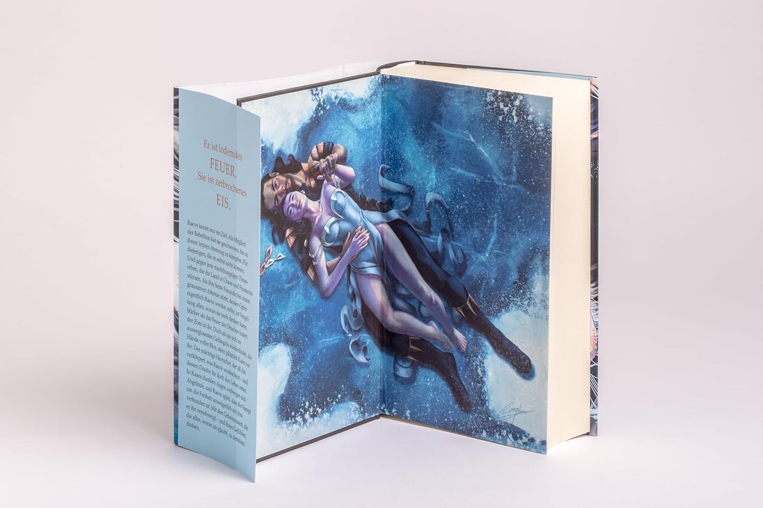 Christine Heinz When The Moon Hatched: Die Auserwählten – (Hardback) (UK IMPORT)