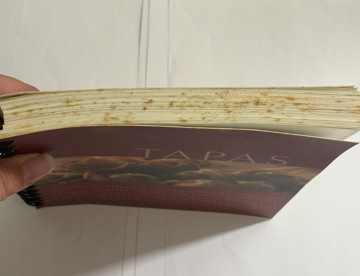 Tapas CookBook Paperback Spiral Bound No Author Collection of Spanish Recipes