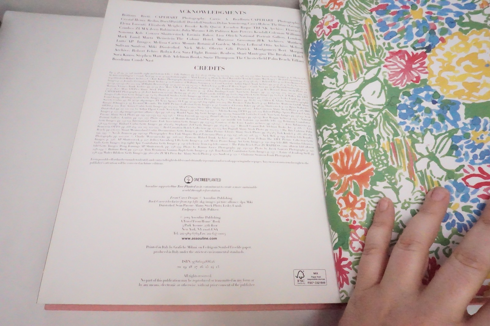 Palm Beach by Aerin Lauder (2019, Hardcover)