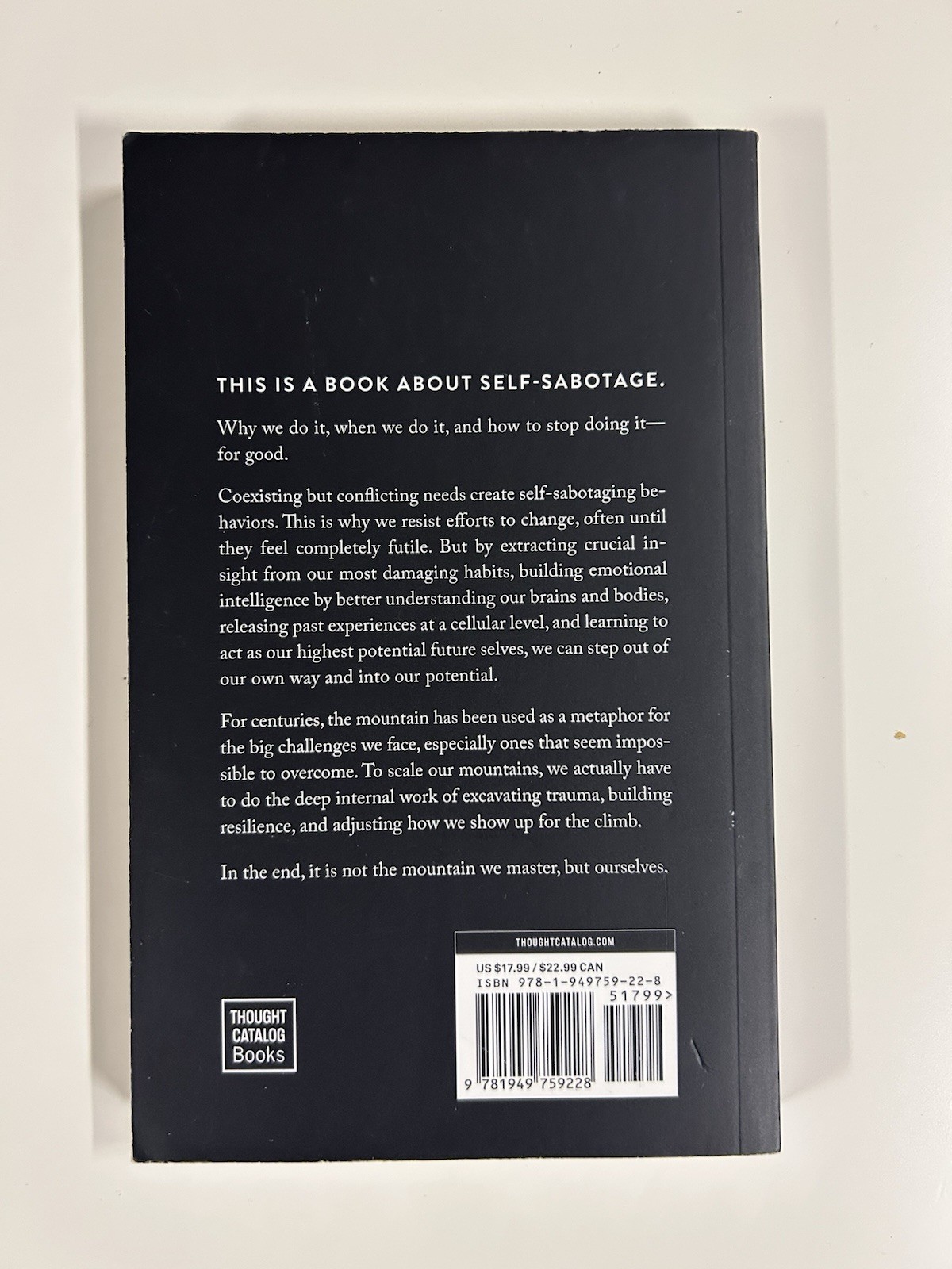 The Mountain is You By Brianna Wiest Self Help Mastery Paperback