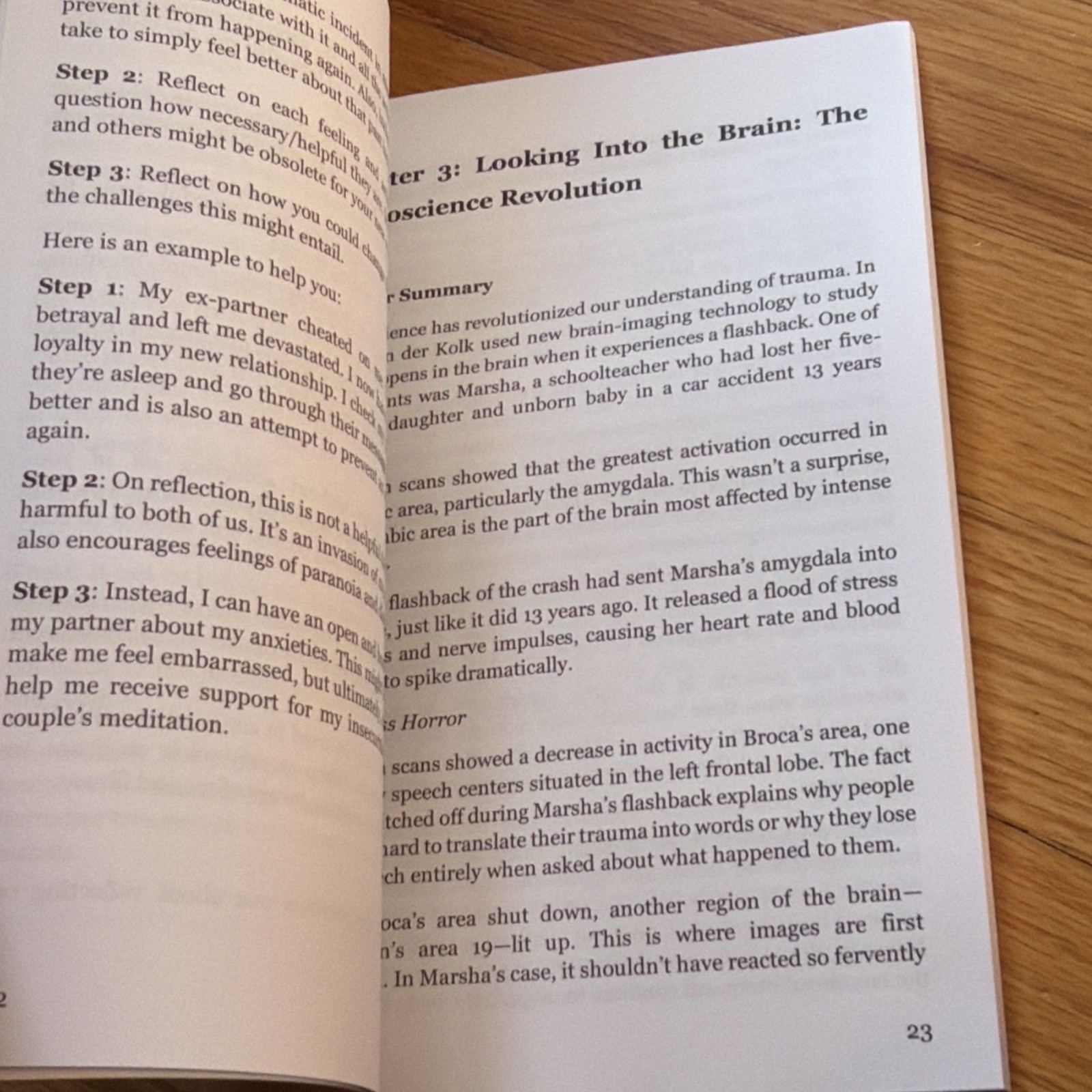Workbook: The Body Keeps the Score: Brain, Mind, and Body in t…