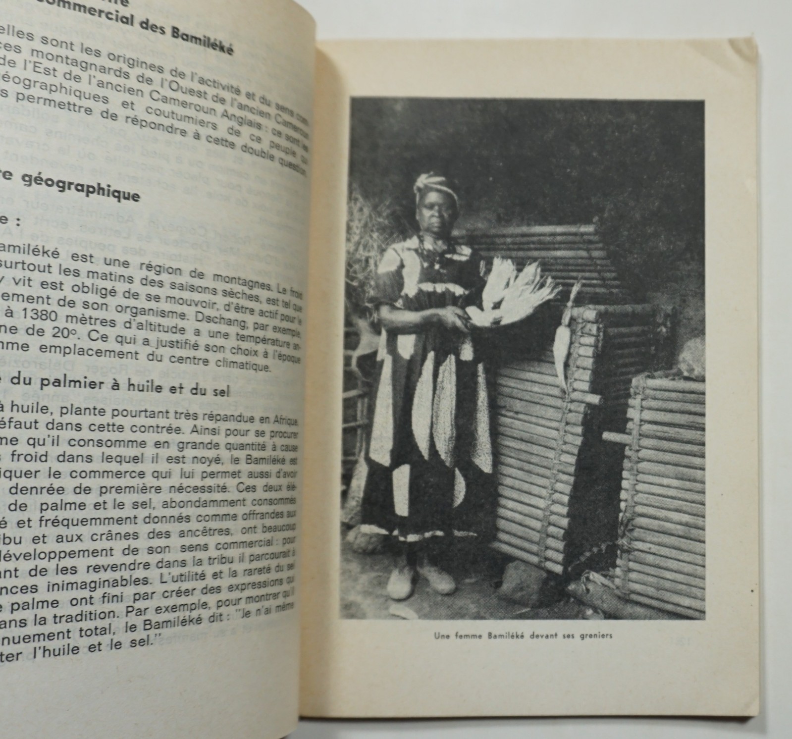 Les Origines du Sens Commercial des Bamileke 1974 Dongmo Cameroon Economics