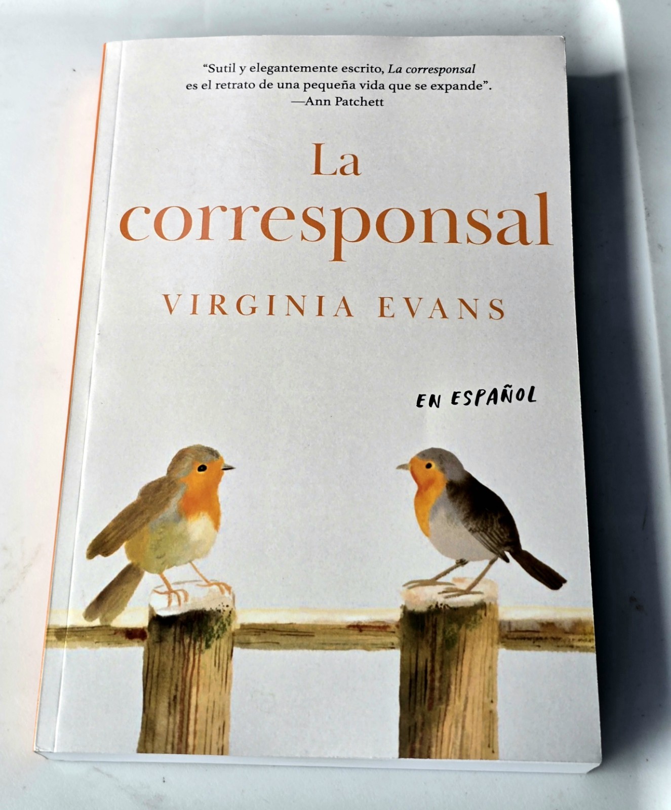 La Corresponsal by Virginia Evans 2025, Trade Paperback Spanish First Edition