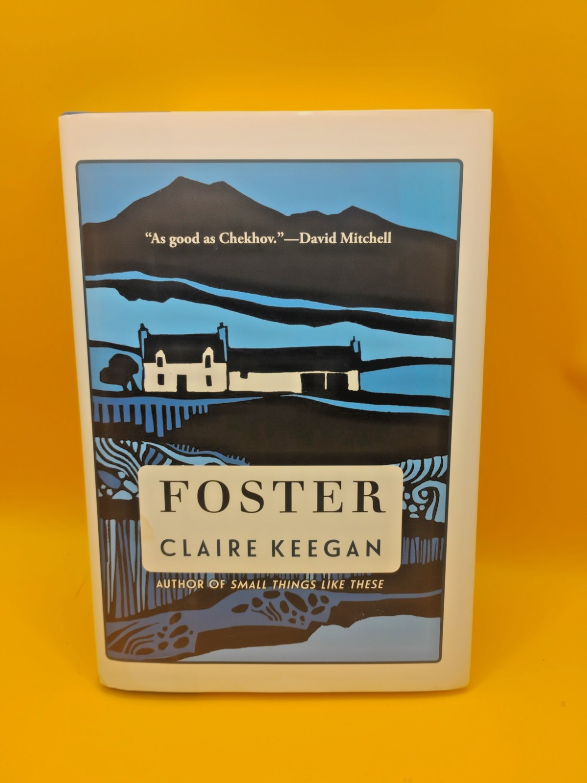 FOSTER by Claire Keegan Hardcover Quiet Girl Movie Book Bestseller