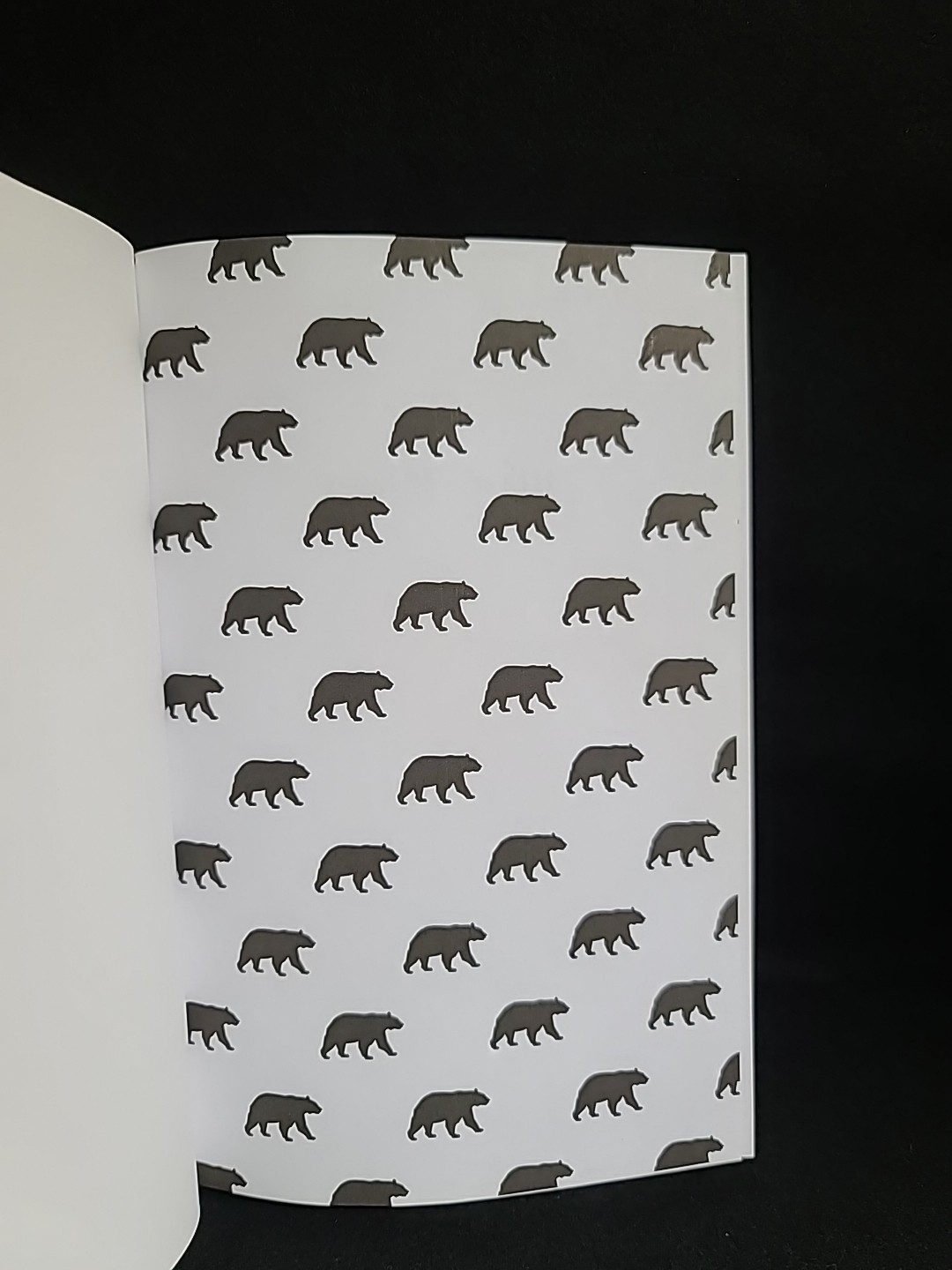 Anatomy of the Bear: Lessons from Wall Street’s Four Great Bottoms