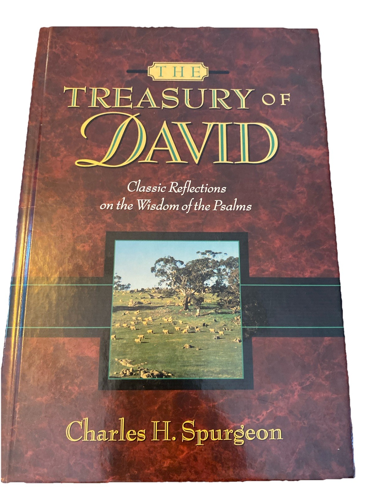 The Treasury of David Classic Reflections on Wisdom Psalms Vol. 3 Only