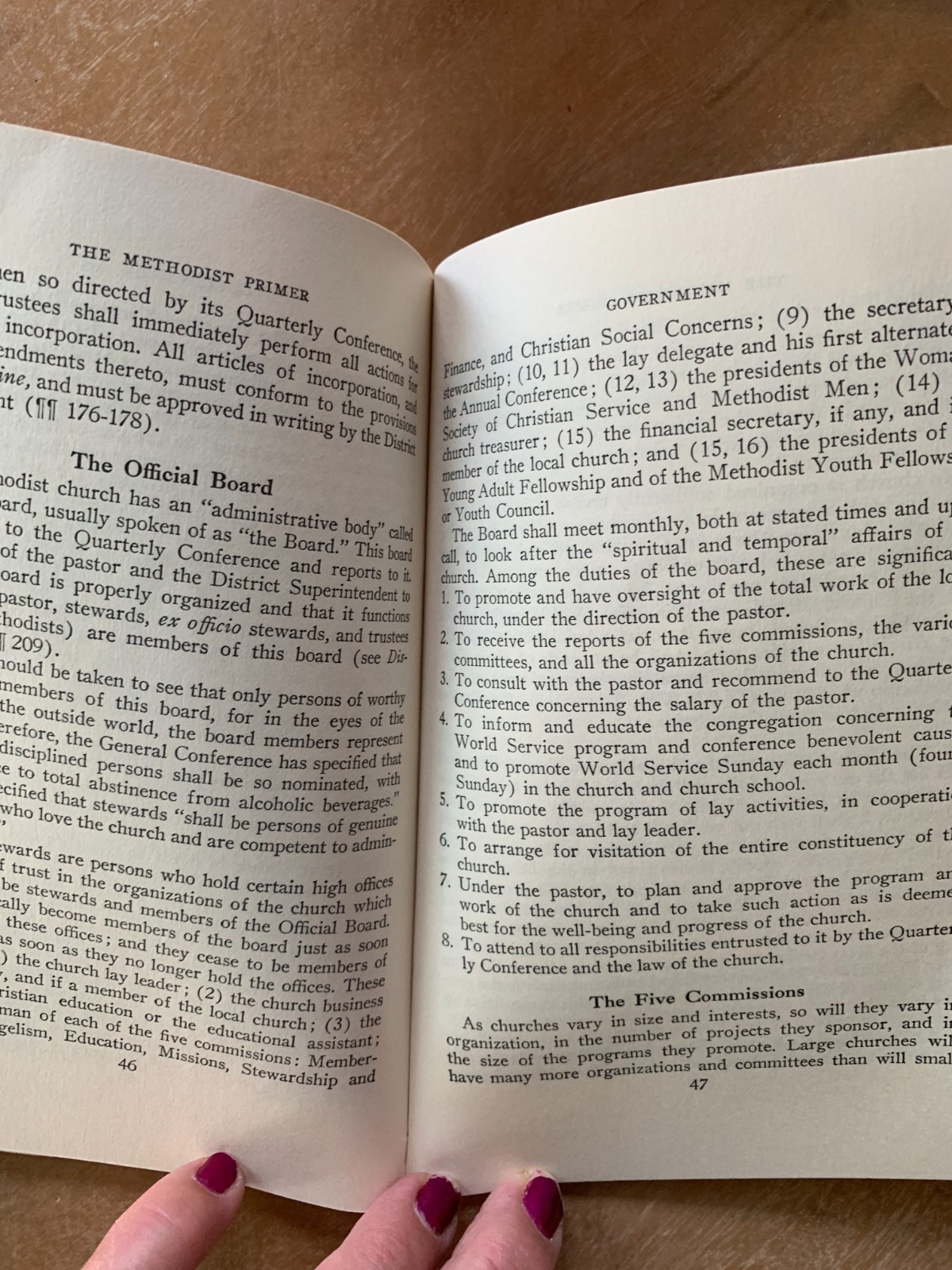 The Methodist Primer [Paperback] (no author)