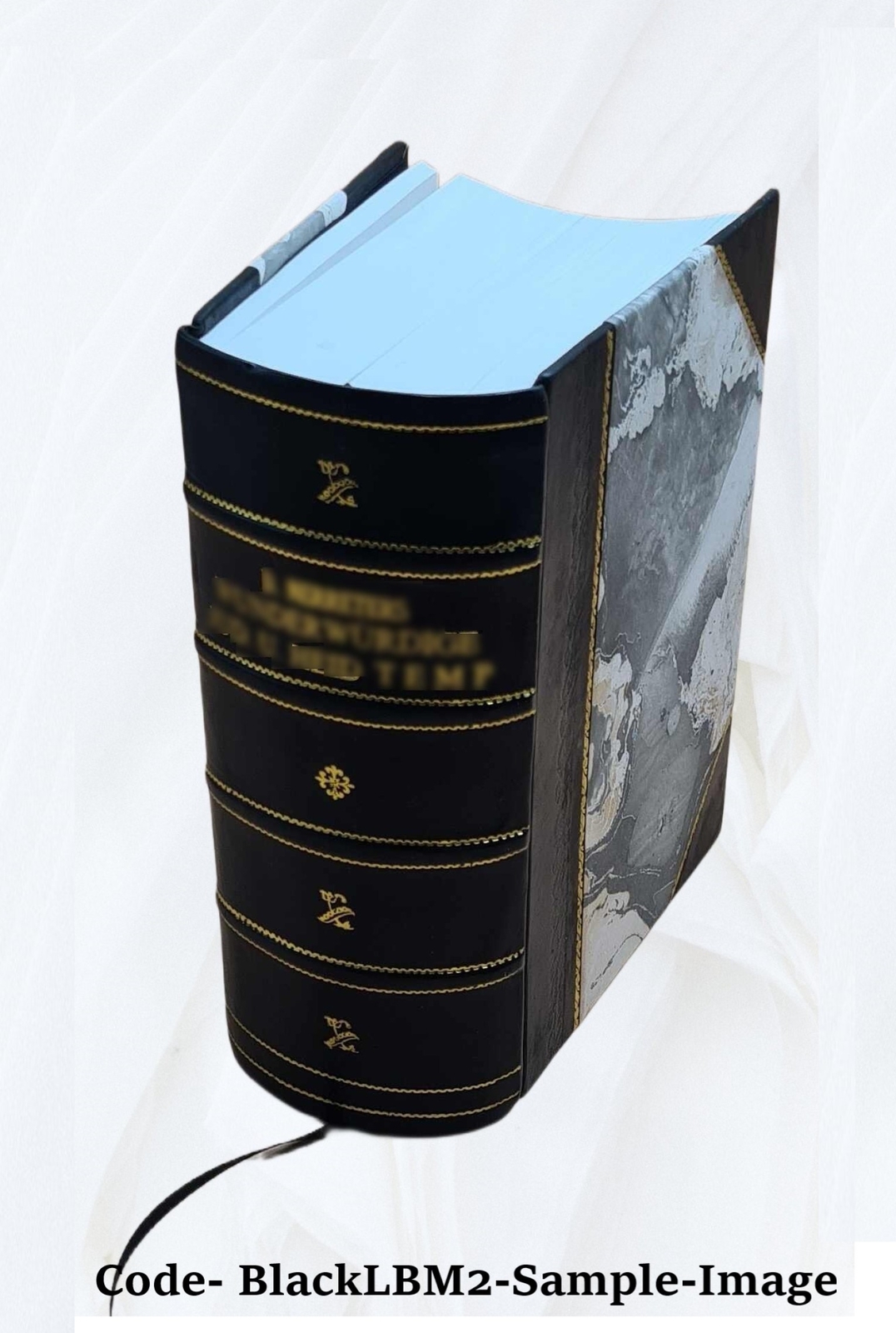 And Quiet Flows The Don; A Novel 1900 [Leather Bound]