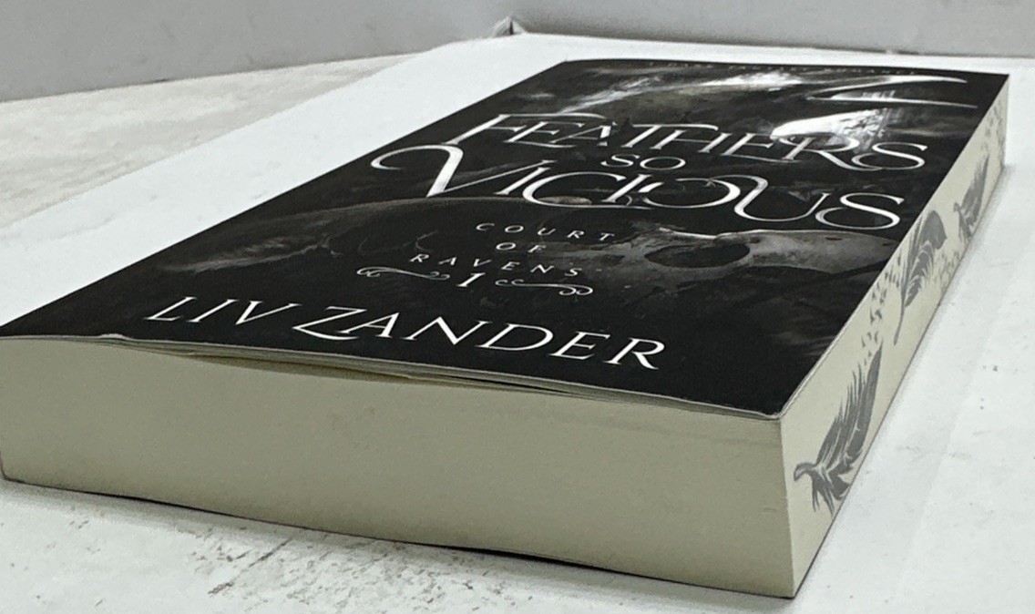 Feathers so Vicious: A Dark Fantasy – Paperback, by Zander Liv –
