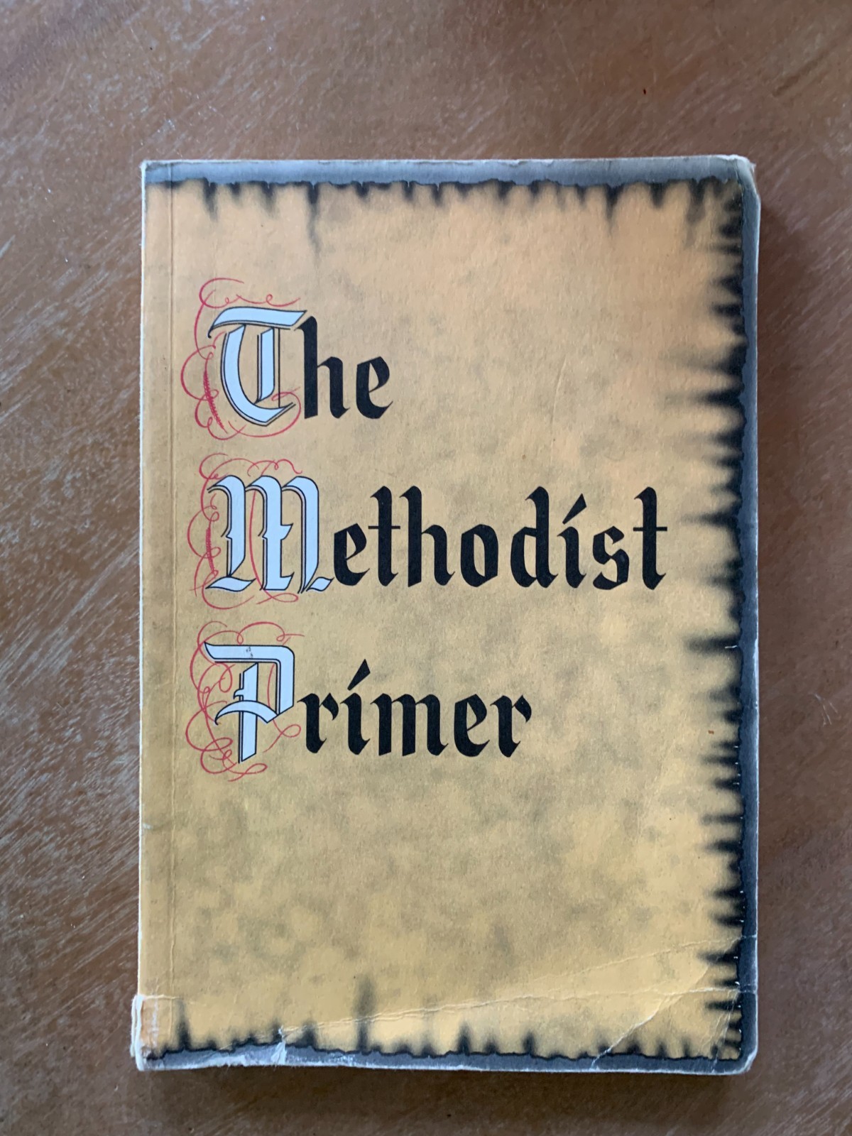 The Methodist Primer [Paperback] (no author)