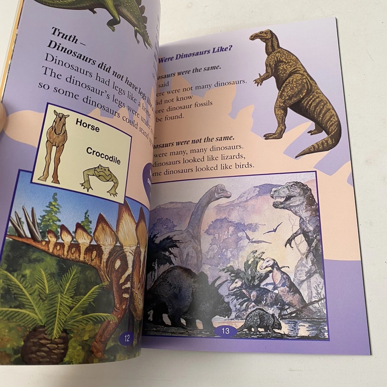 Kids Book Lot Of 4 Grade 2-3 Age 7-8 Dinosaur Detective Volcanoes Places MLK