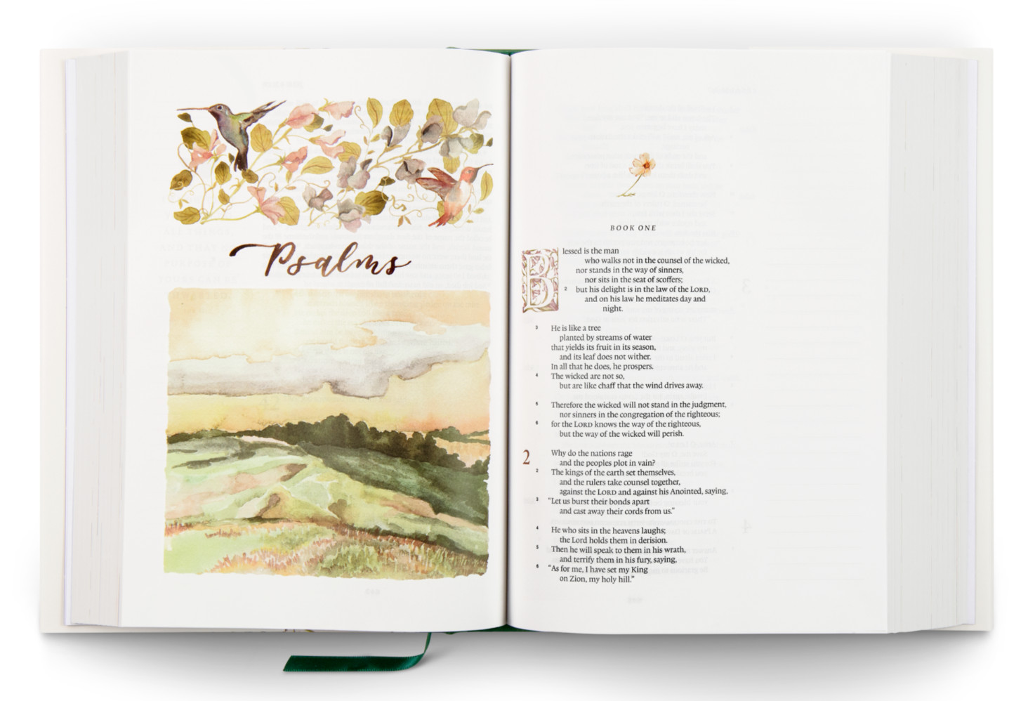 ESV Gracelaced Bible Journaling Edition Hardcover (Artwork by Ruth Chou Simons)