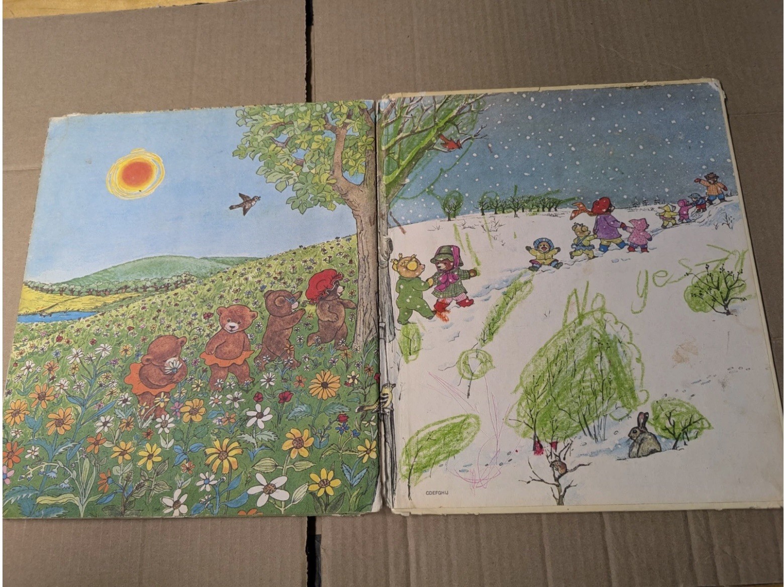 VTG The 14 Fourteen Bears in Summer and Winter Virginia Parsons & Evelyn Scott