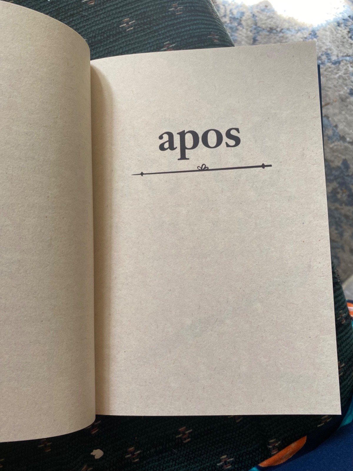 Apos – A New Graphic Novel About LDS (Mormon) Missionaries by Anna M. Wright