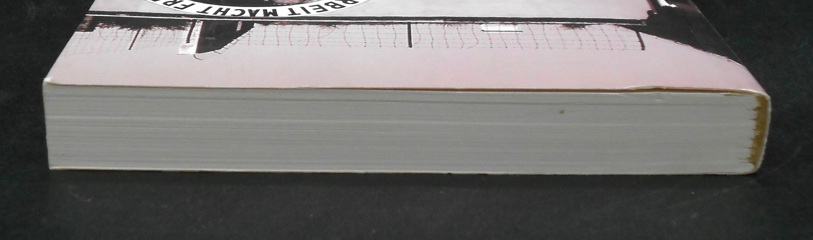 THERESIENSTADT: THE TOWN THE NAZIS GAVE TO THE JEWS by SCHIFF 2006, SIGNED PB NF