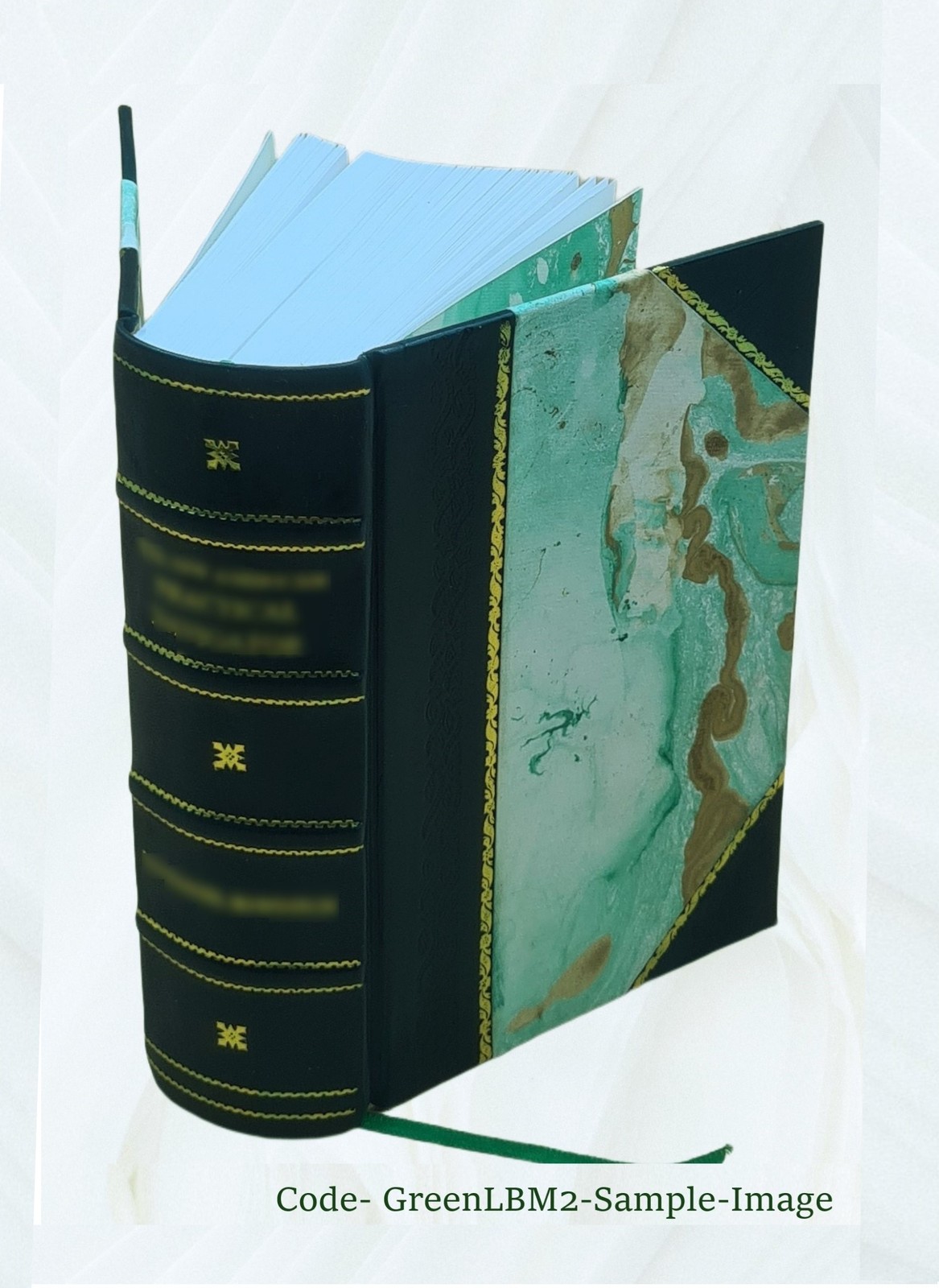 One hundred years of progress 1895 [Leather Bound]