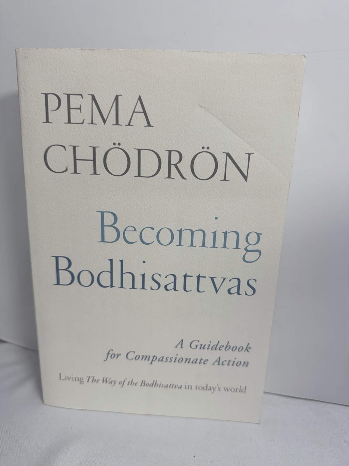 Becoming Bodhisattvas : A Guidebook for Compassionate Action by Pema Chödrön…