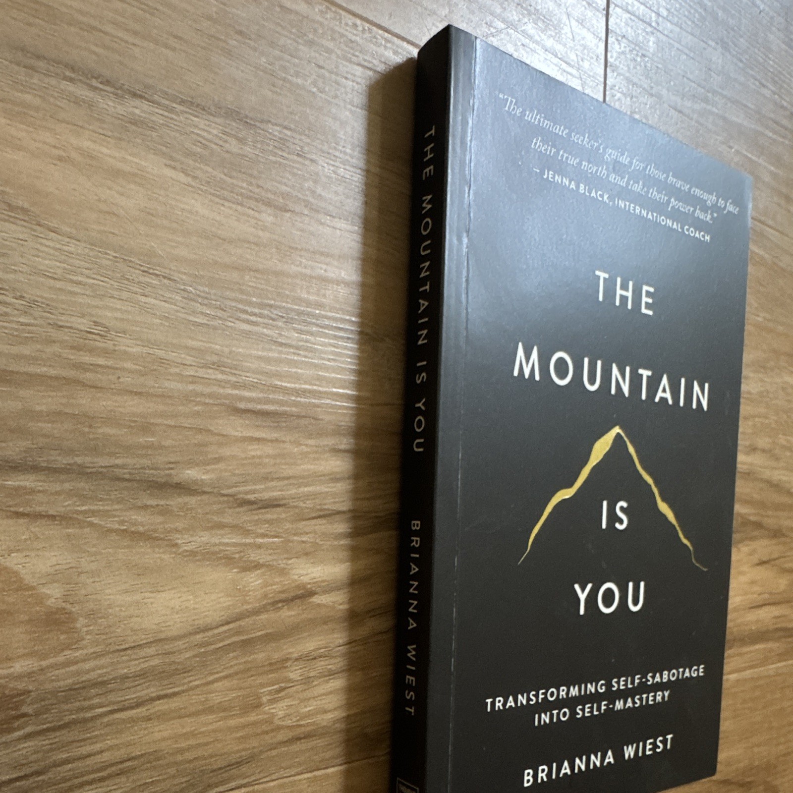 Thought Catalog Books The Mountain Is You by Brianna Wiest Paperback Self-Help