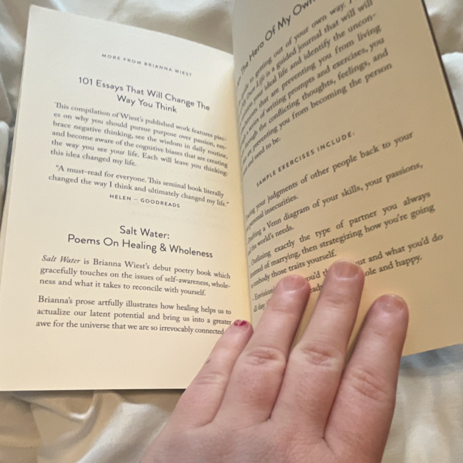 THE MOUNTAIN IS YOU BY BRIANNA WIEST