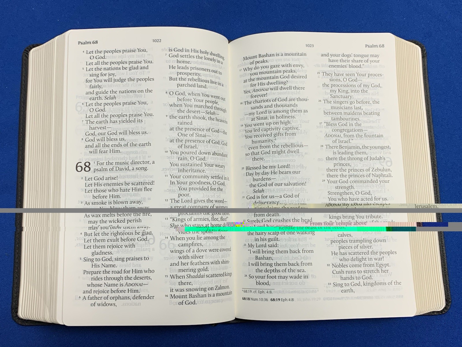TLV Tree of Life Version Personal Size Giant Print Ref Bible Black Messianic
