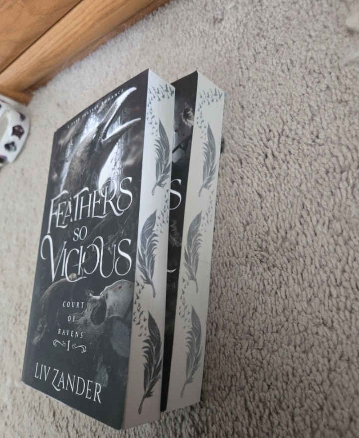 Court Of Ravens Dark Fantasy Romance Feathers So Vicious Shadows So Cruel Indie