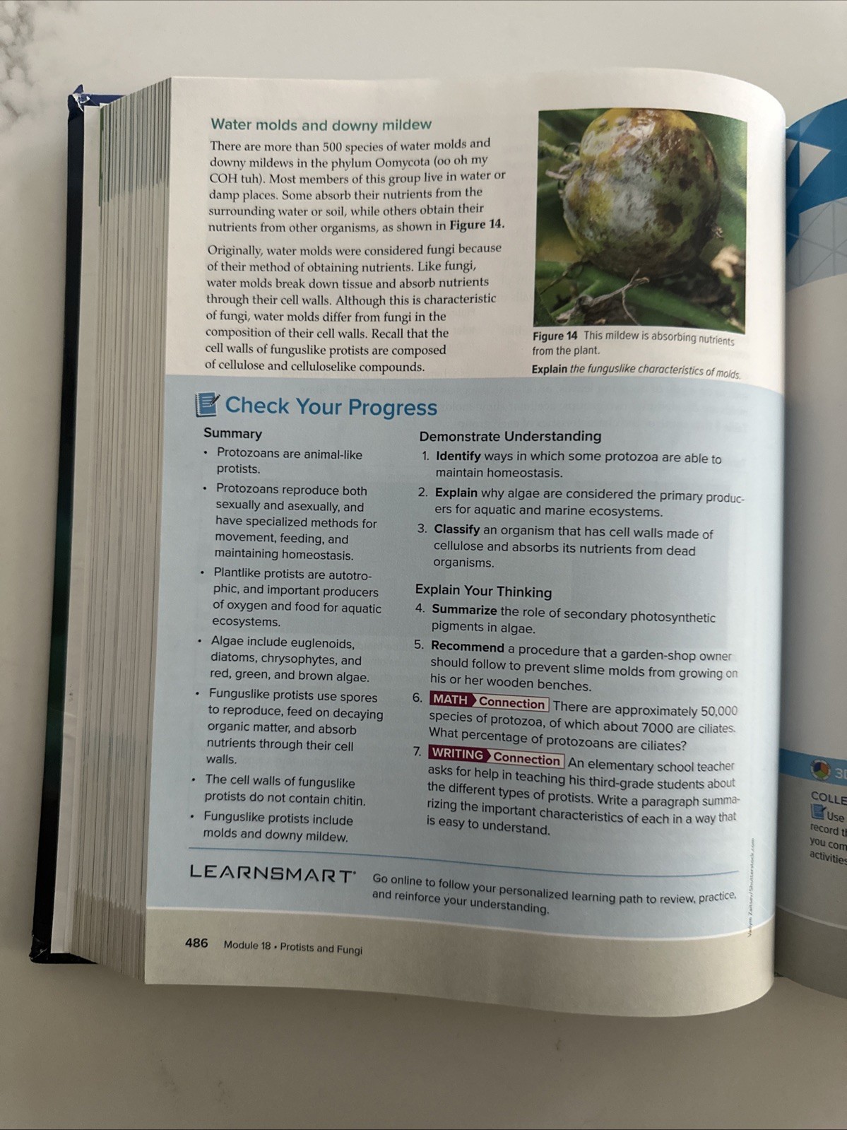 Inspire Science: Biology, G9-12 Student Edition (BIOLOGY DYNAMICS OF LIFE)