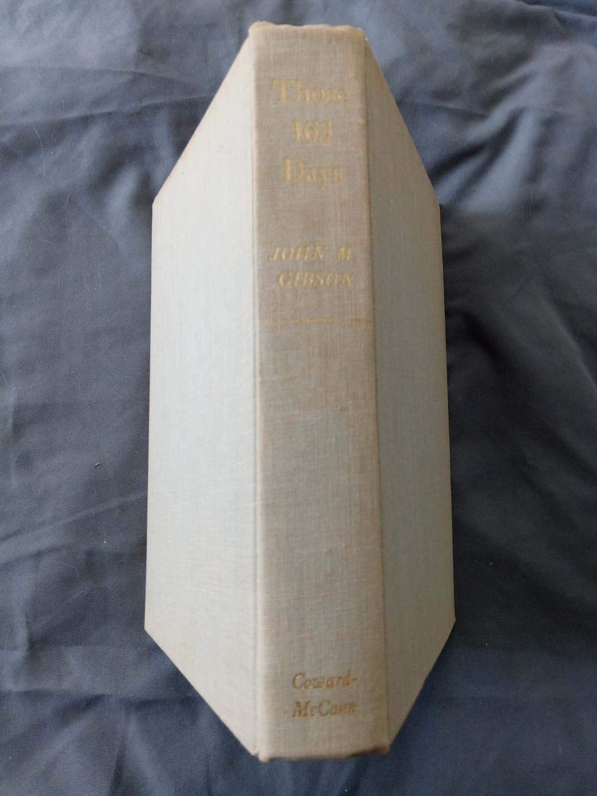 Those 163 Days. Southern acct Sherman from Atlanta to Raleigh John Gibson 1961