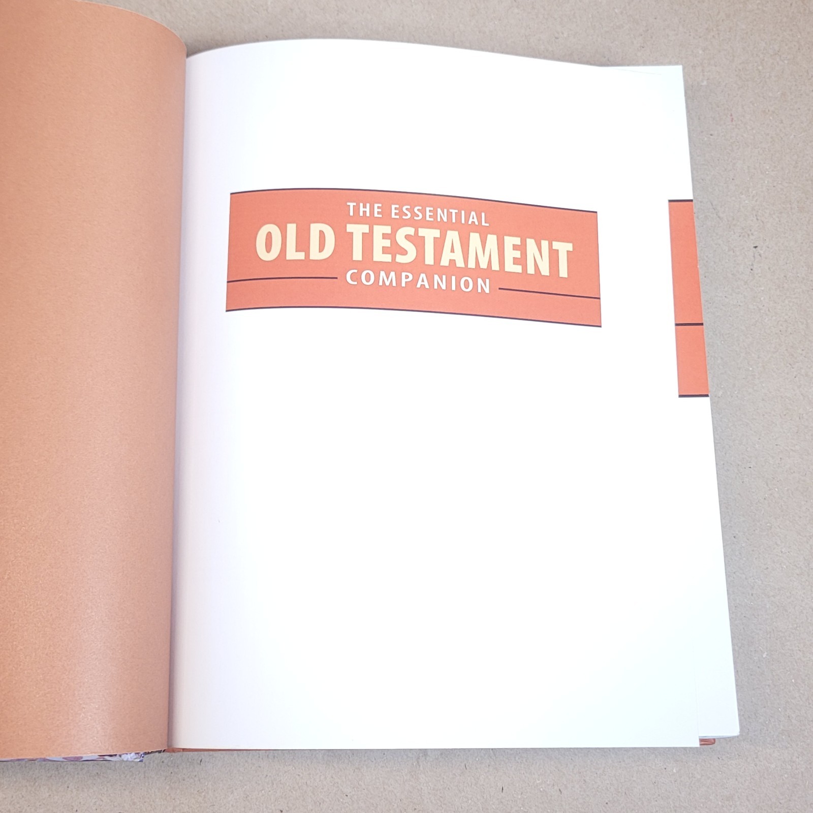 THE ESSENTIAL OLD TESTAMENT COMPANION By Kerry Muhlestein – Hardcover