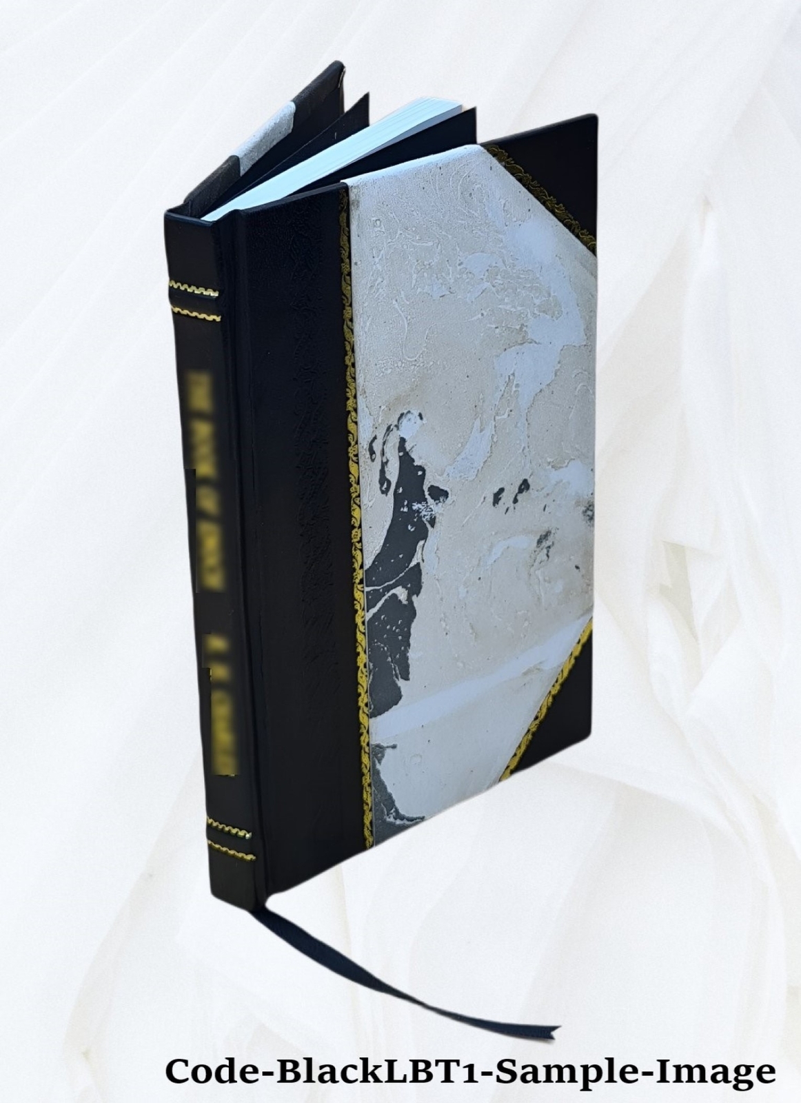 Independent or democratic church government : The divinely appoi [Leather Bound]