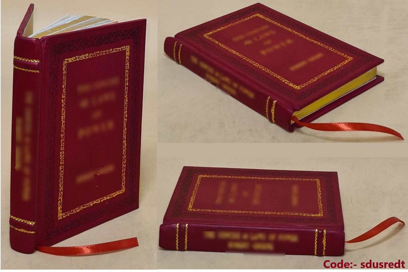 Money Management: A Dumbed-Down Version: Take Back Contr [Premium Leather Bound]