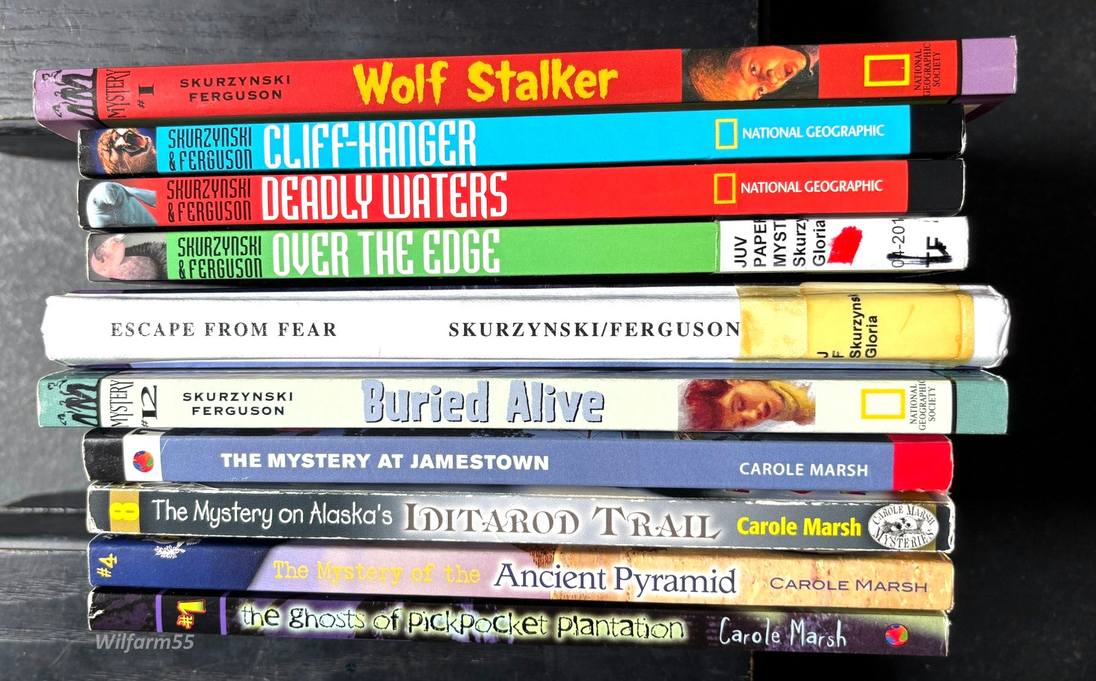 10 Lot Historic Mystery Books In Our National Parks & Carole Marsh Mysteries