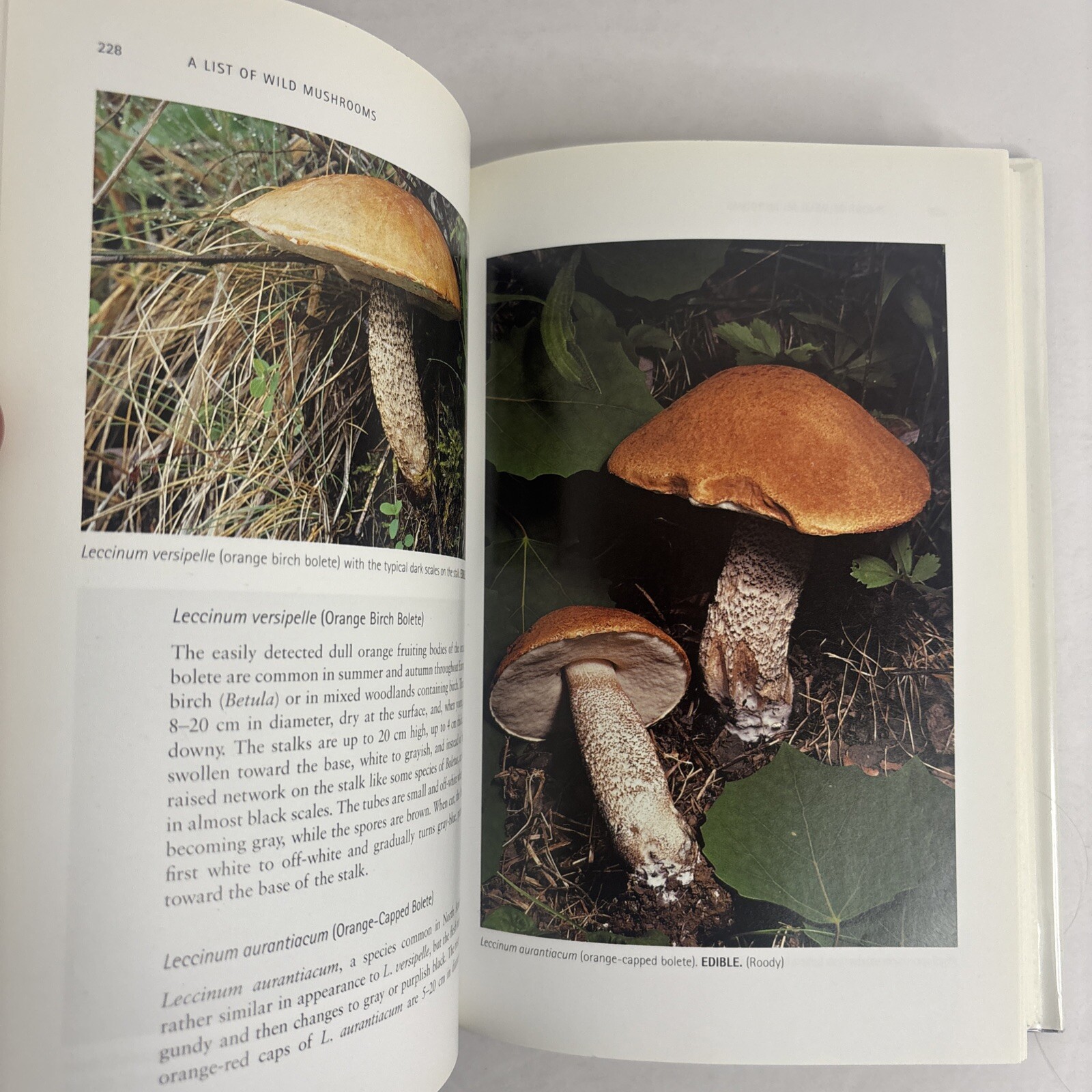Edible and Poisonous Mushrooms of the World by Hall, Stepheson, Buchanan, Yun