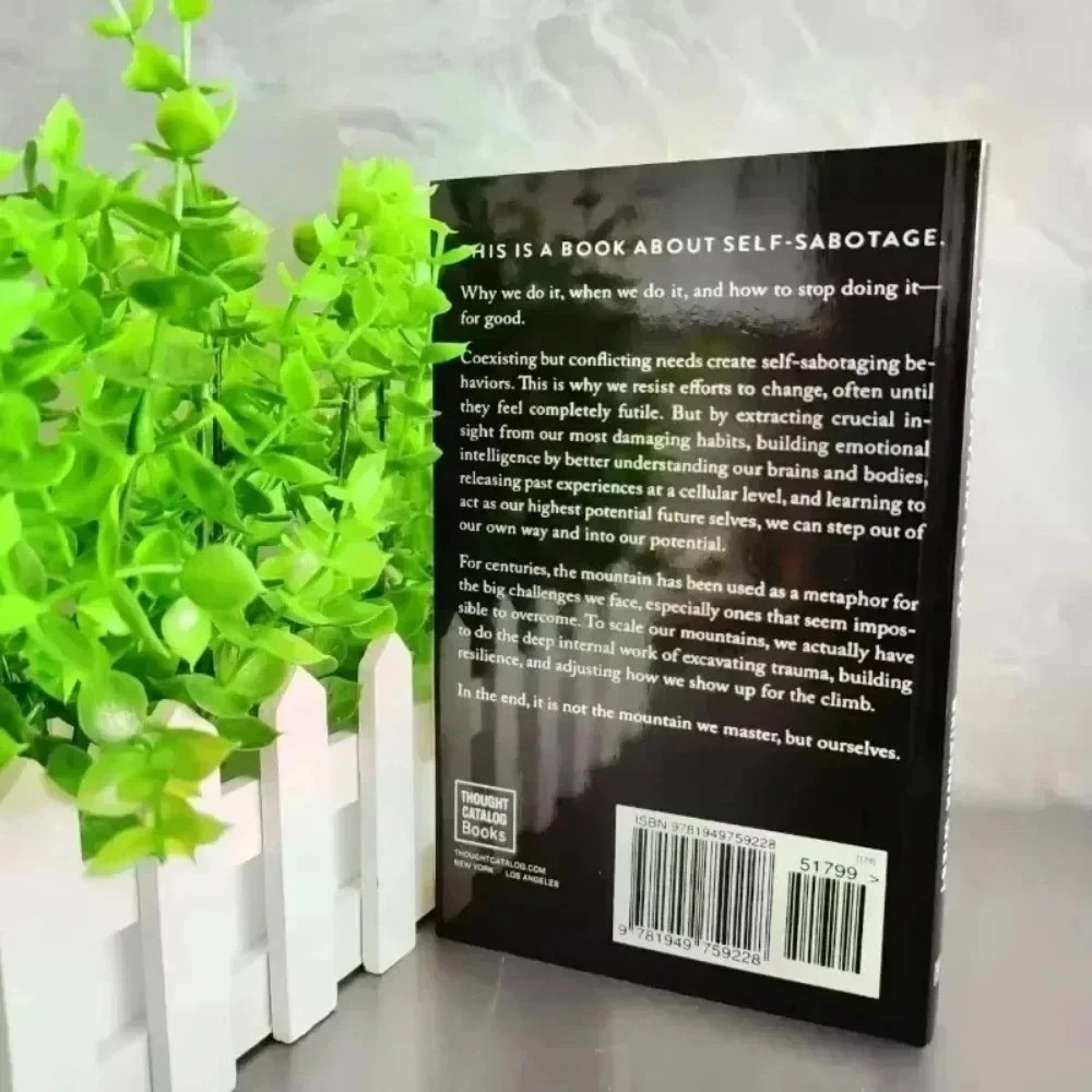 The Mountain Is You: Transforming Self-Sabotage Into Self-Mastery Paperback