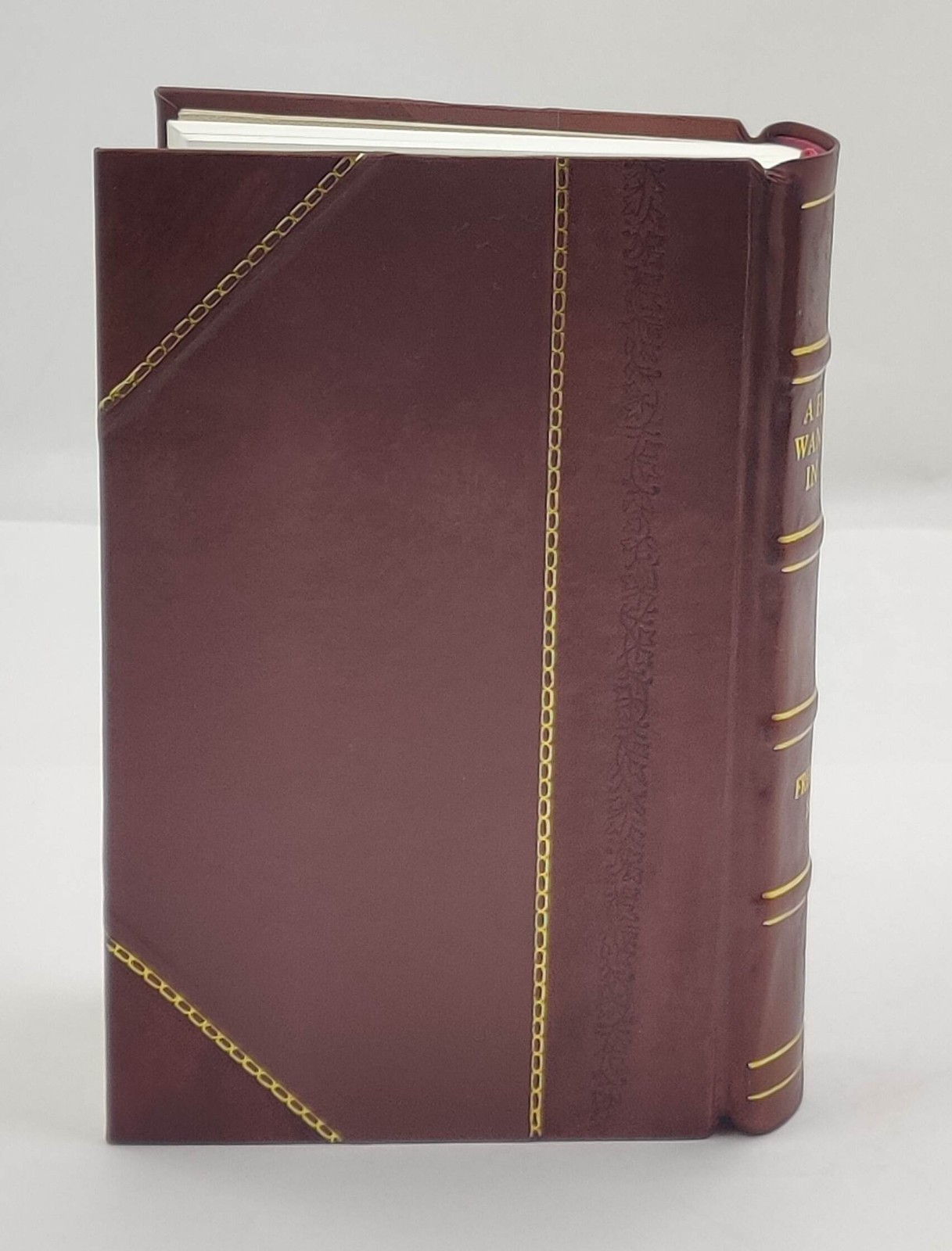 A hunter’s wanderings in Africa : being a narrative of nine ye [Leather Crafted]