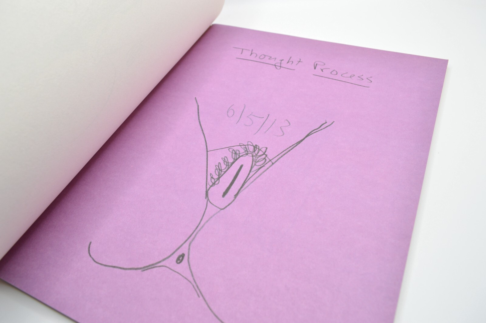 Carroll Dunham, Thought Process, PictureBox, Ltd Ed, 2013, Erotic Art, Like New
