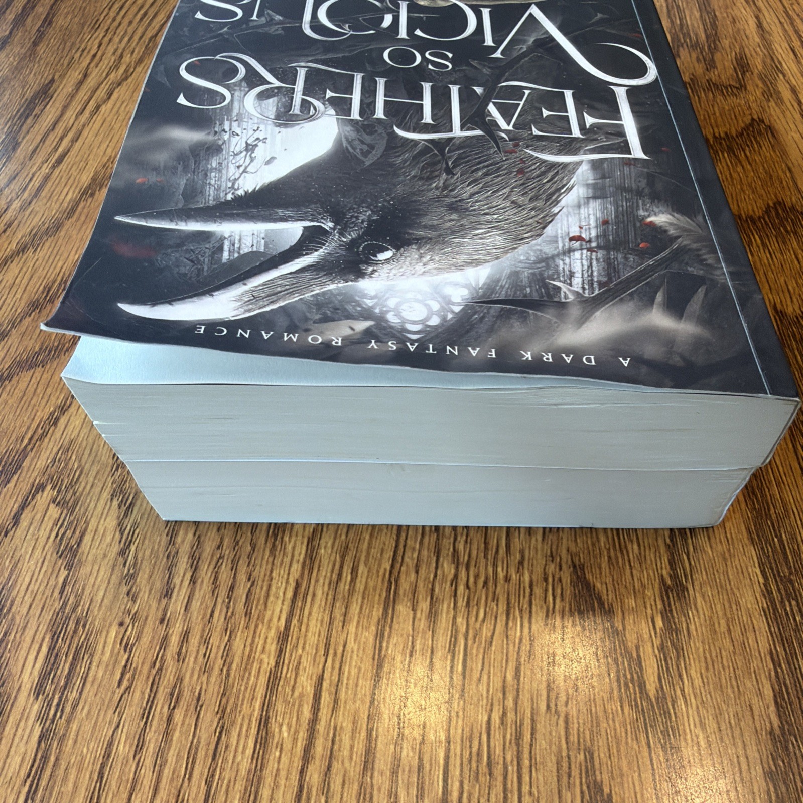 Liv Zander Feathers So Vicious & Shadows So Cruel, Court of Ravens, Books 1 & 2