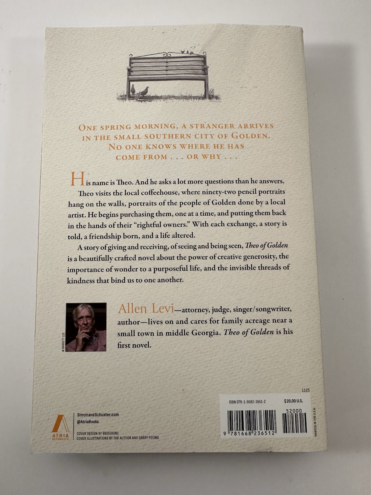 Theo of Golden Allen Levi Paperback Book 2023 Used