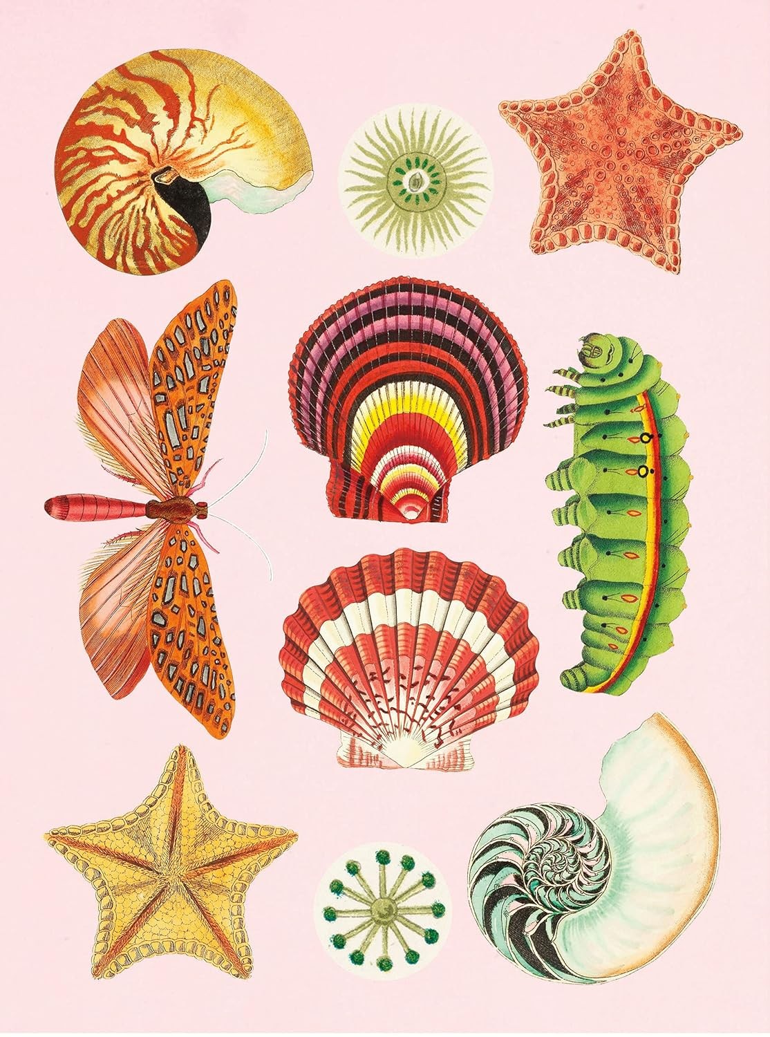 The Antiquarian Sticker Book: Over 1,000 Exquisite Victorian Stickers