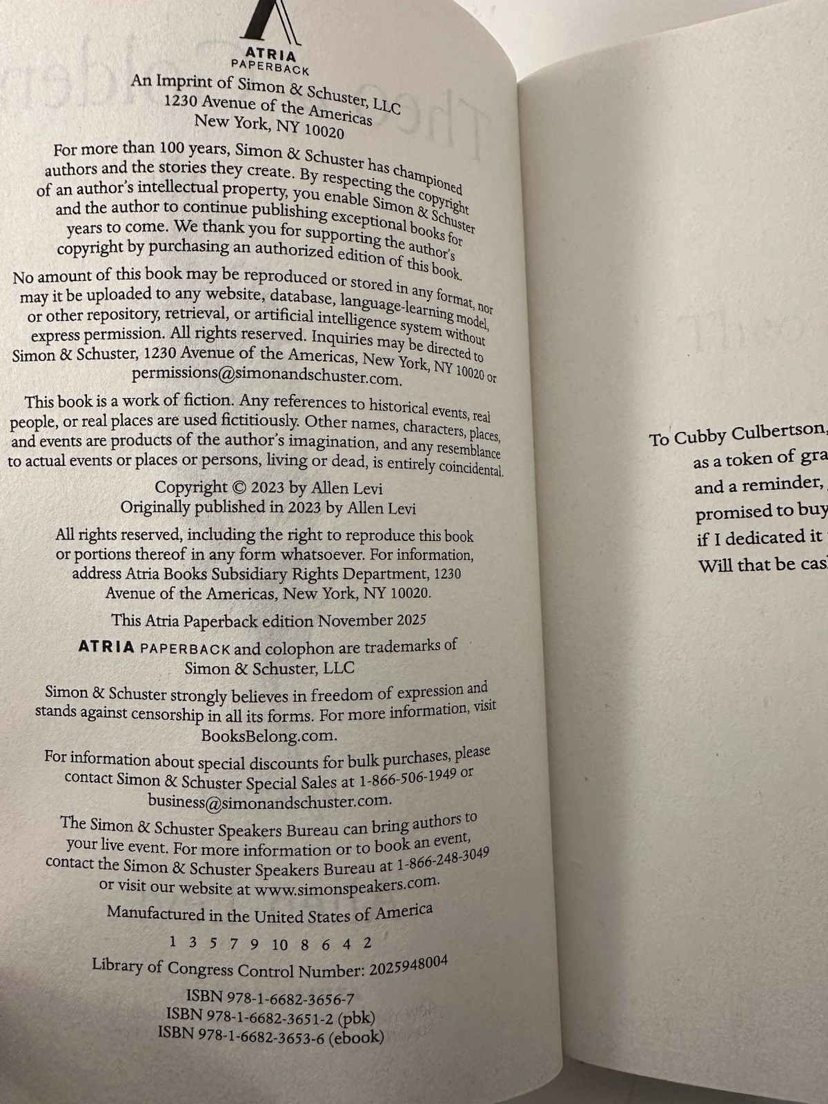 Theo of Golden Allen Levi Paperback Book 2023 Used
