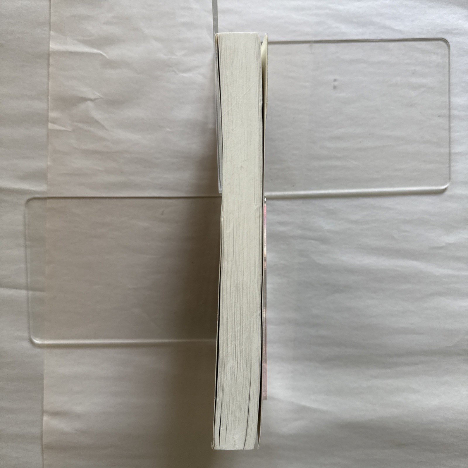 Sick Fux – Smaller Version (8-1/4 x 5-1/2 x 3/4 inch, 304 pages), Paperback