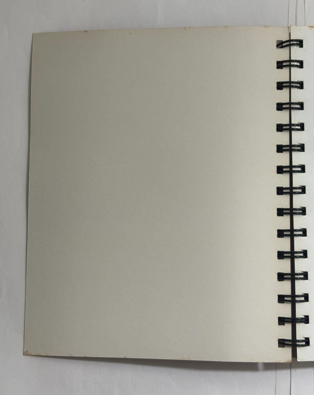 Tapas CookBook Paperback Spiral Bound No Author Collection of Spanish Recipes