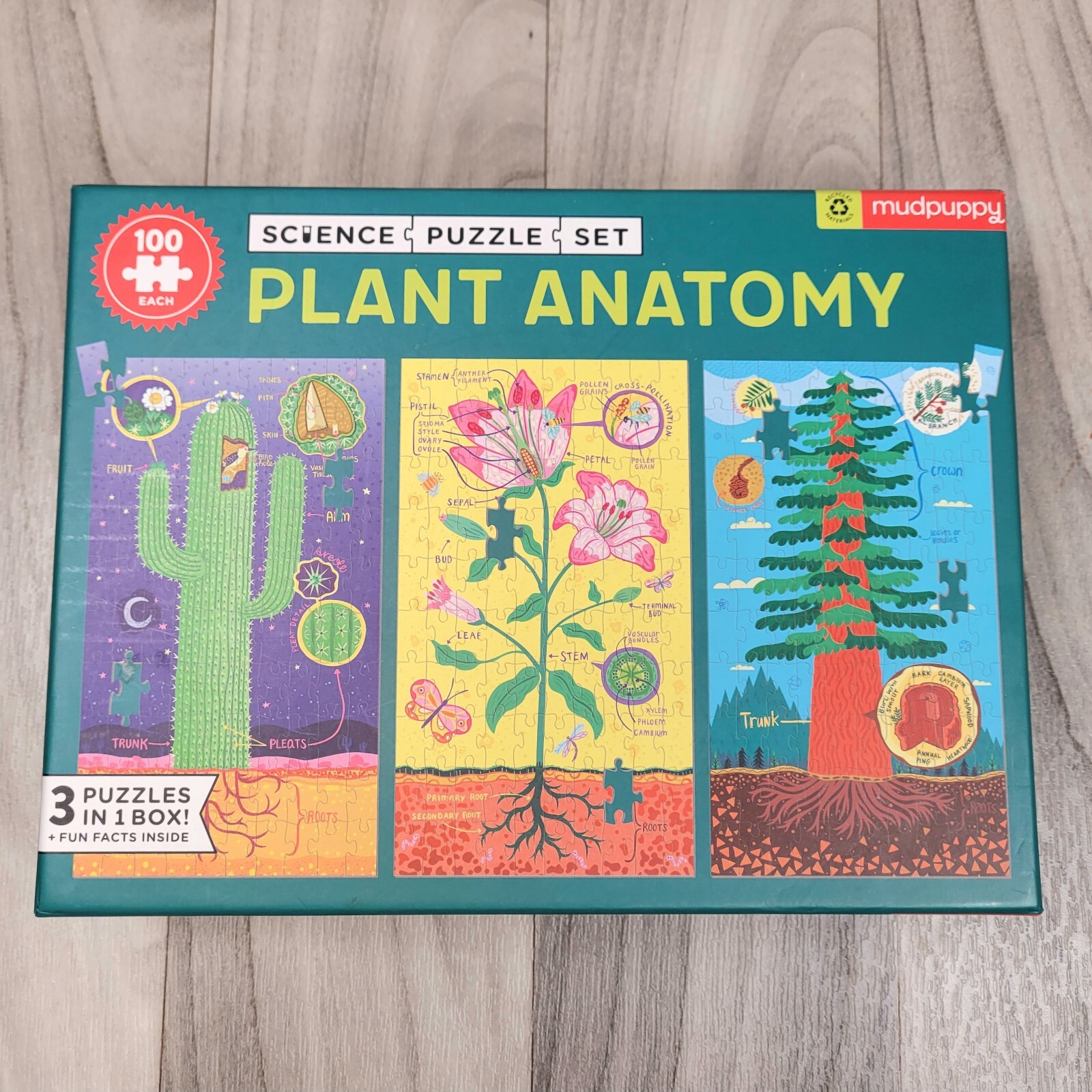 Plant Anatomy Puzzle (3 puzzles in 1 box) 100 Pcs Each Mudpuppy